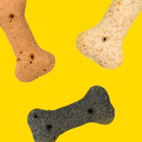 Pet Care