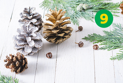 Christmas tip #9: An ode to nature